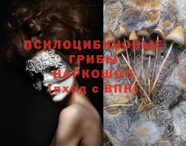 СК Горняк