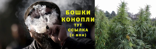 СК Горняк