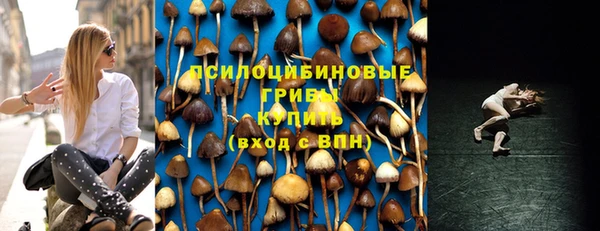 СК Горняк
