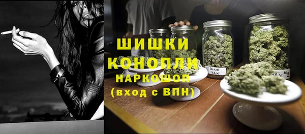 2c-b Горнозаводск
